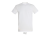 T-shirt léger 100% coton