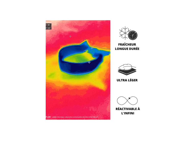 Bandana rafraîchissant 2