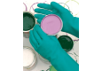Gants chimie INTERFACE PLUS 3